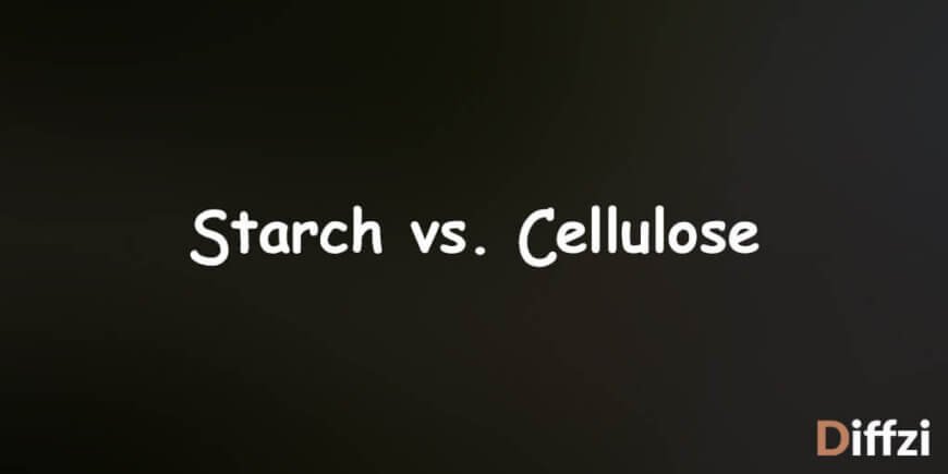 Starch vs. Cellulose