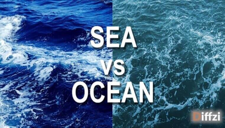 Sea vs. Ocean