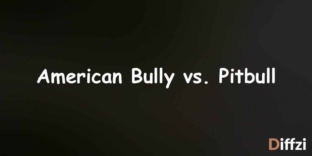 American Bully vs. Pitbull