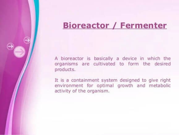 Bioreactor Vs Fermentor What Is The Difference Diffzi