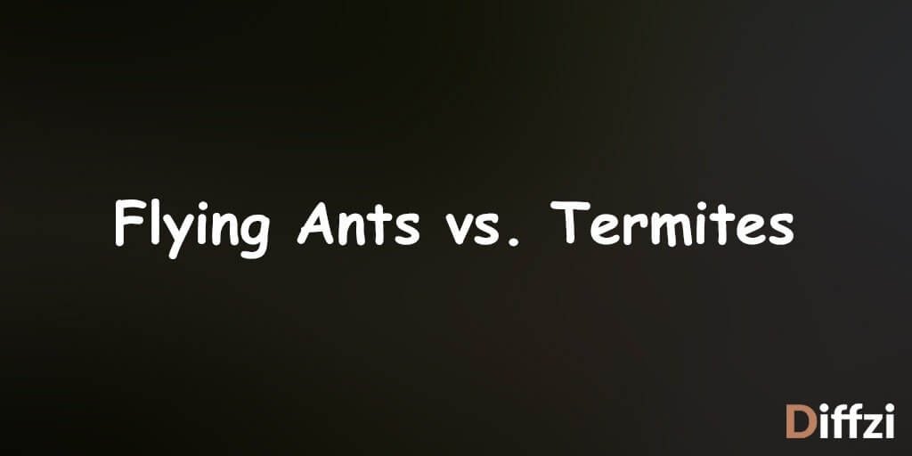 Flying Ants vs. Termites