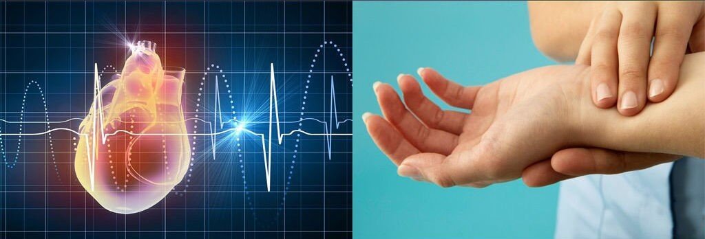 Heart Rate vs. Pulse Rate e1549055761436
