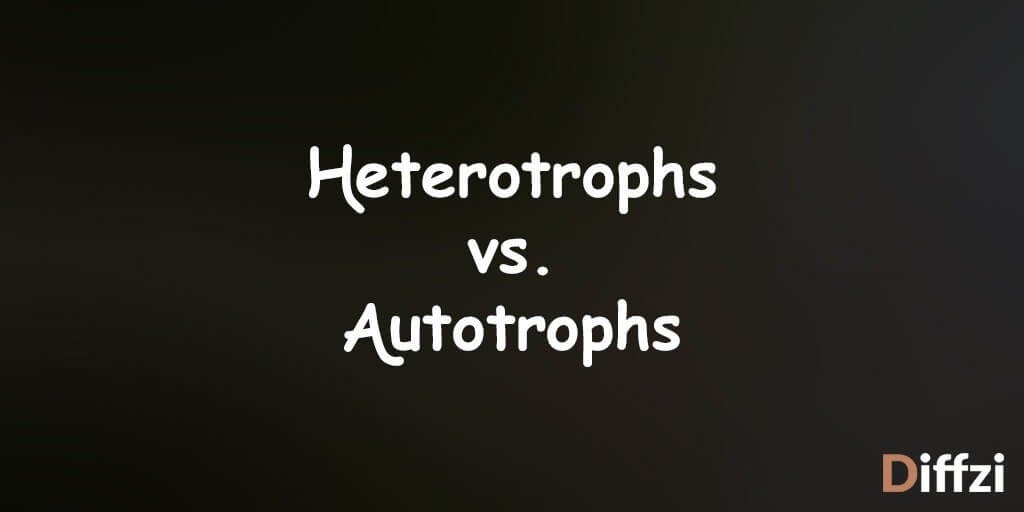 Heterotrophs vs. Autotrophs