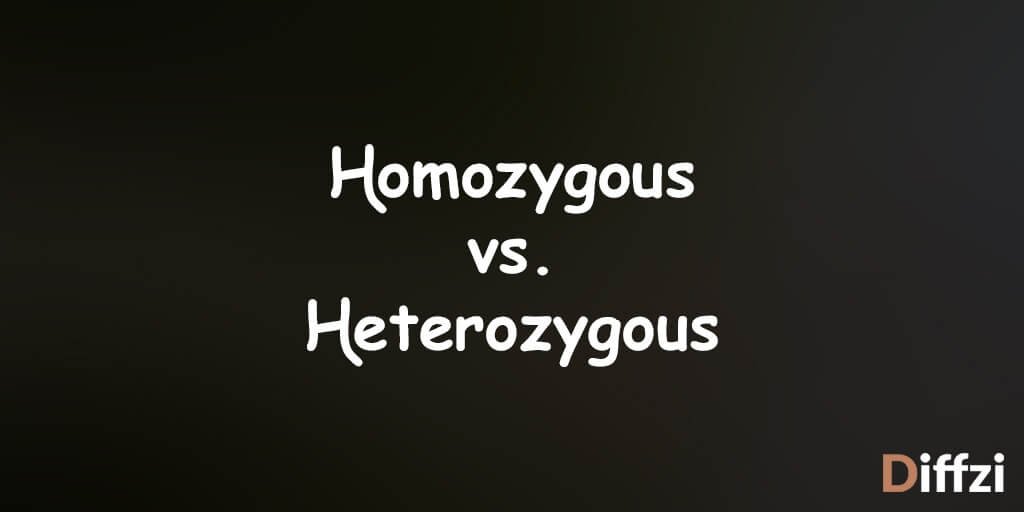 Homozygous vs. Heterozygous