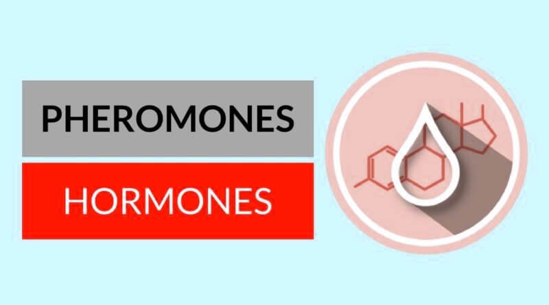 Hormones vs. Pheromones