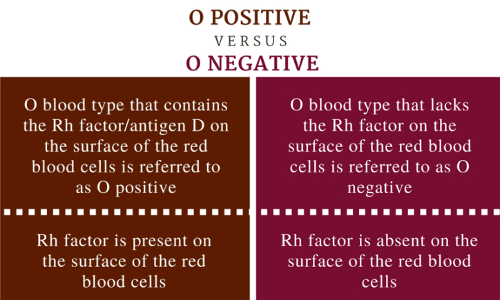 O Positive Vs O Negative What Is The Difference Diffzi