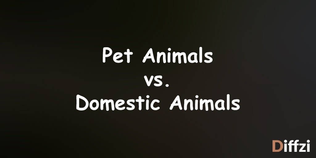 Pet Animals vs. Domestic Animals