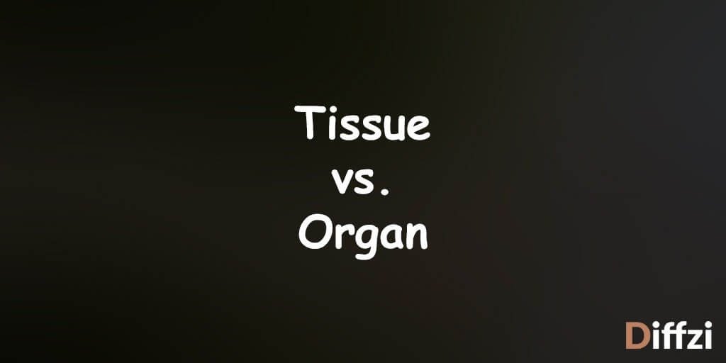 Tissue vs. Organ