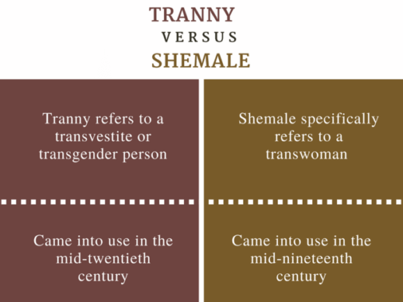 Tranny vs. Shemal