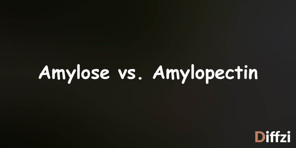 Amylose vs. Amylopectin