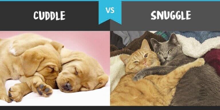 difference-between-cuddle-vs-snuggle-diffzi