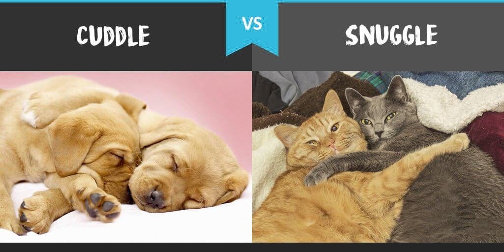 Cuddle vs Snuggle