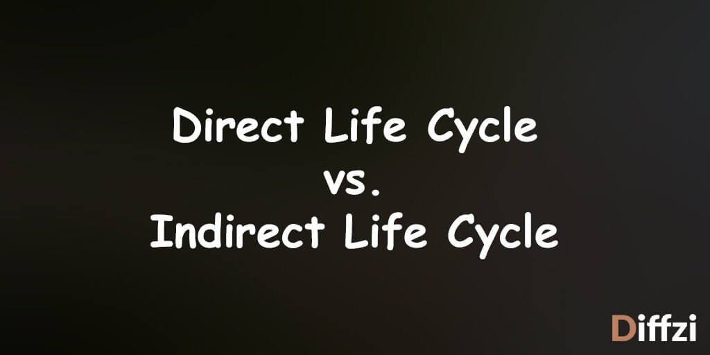 Direct Life Cycle vs. Indirect Life Cycle