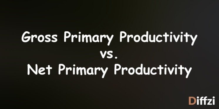 Gross Primary Productivity vs. Net Primary Productivity