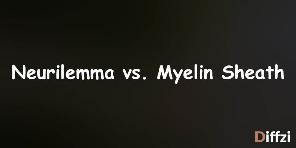 Neurilemma vs. Myelin Sheath