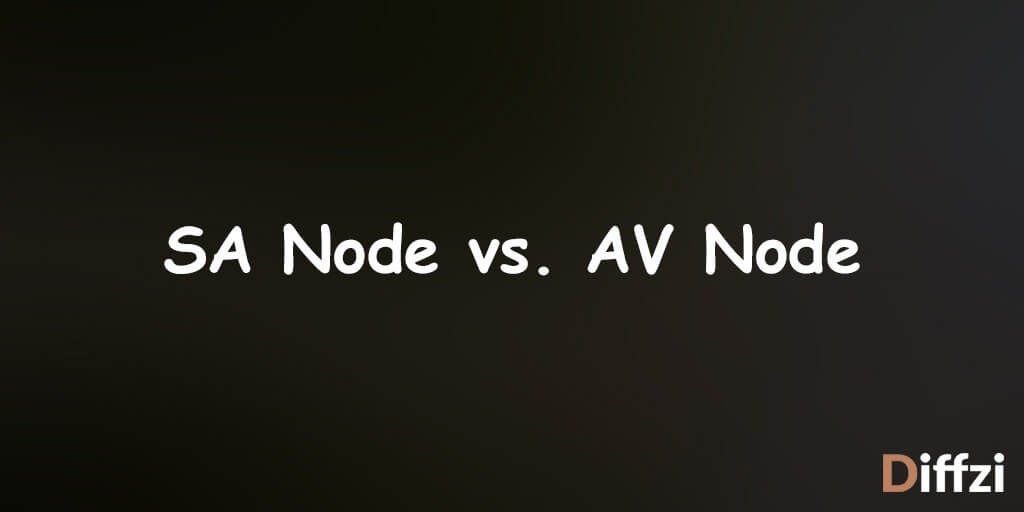 SA Node vs. AV Node