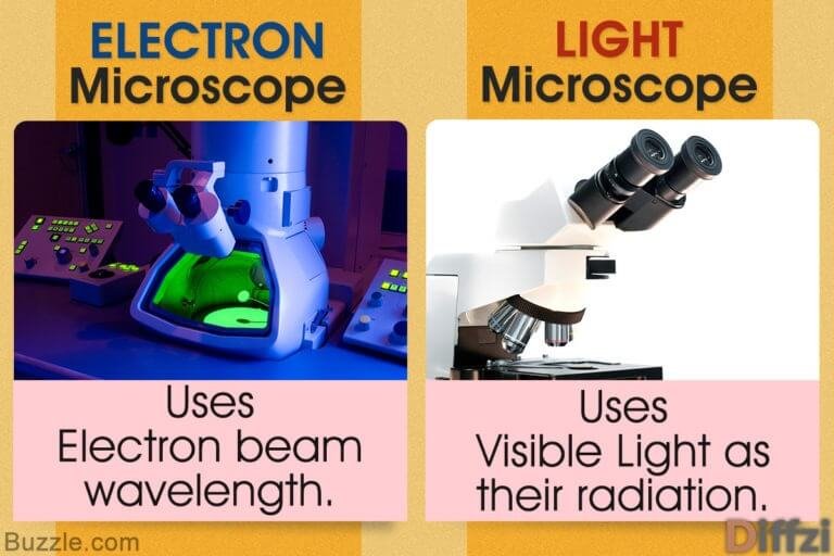 Light Microscope vs Electron Microscope