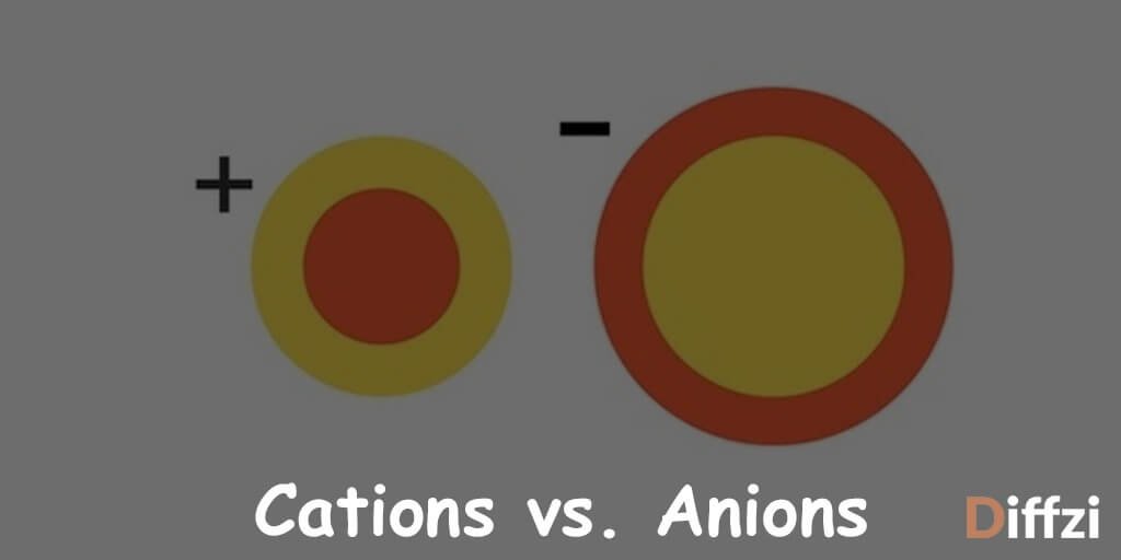 Would you be a cation or anion