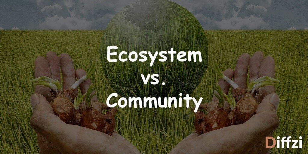 Ecosystem vs. Community