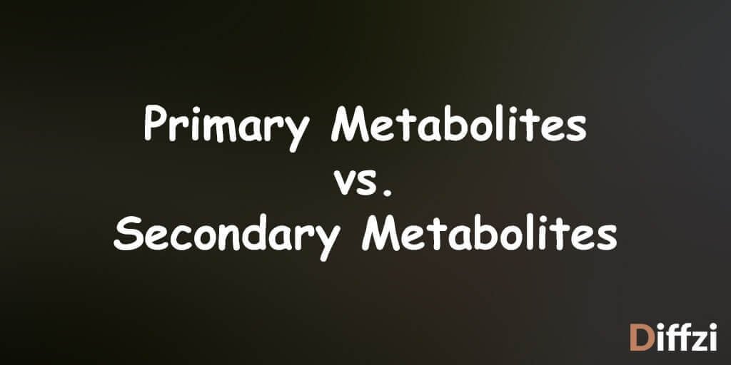 Primary Metabolites vs. Secondary Metabolites