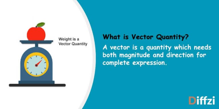 Vector Quantity Diffzi