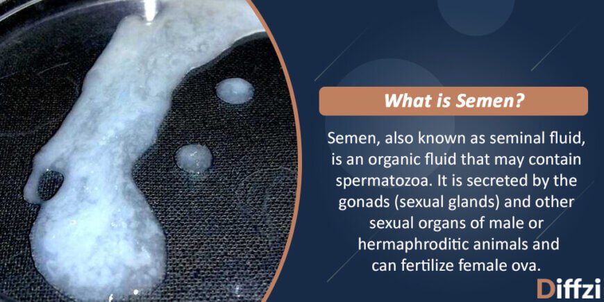 Semen