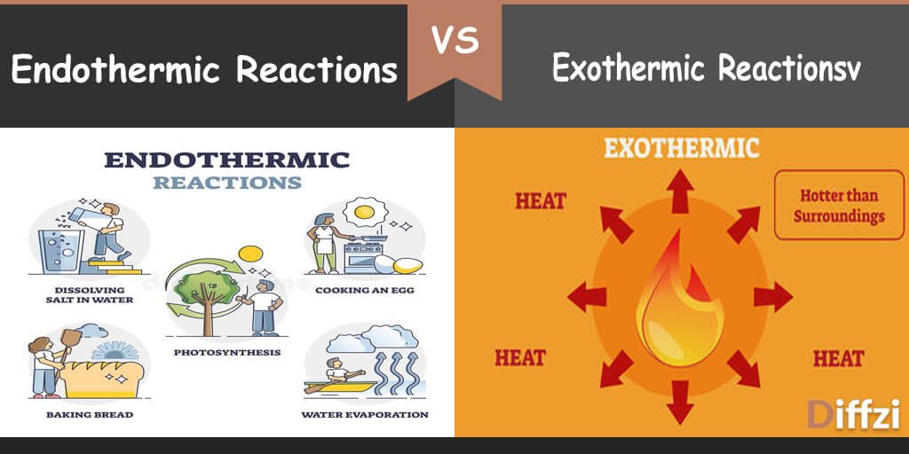 Endothermic Reactions vs. Exothermic Reactions