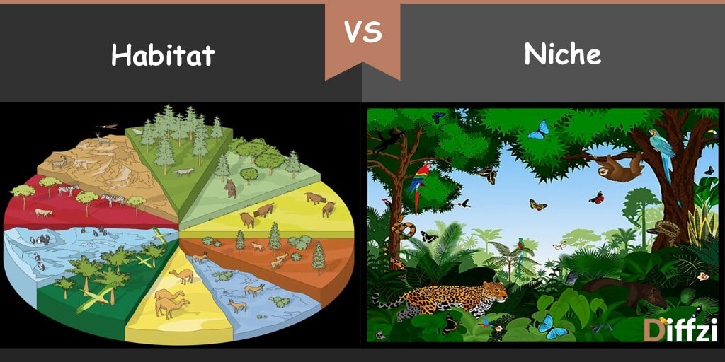 Habitat vs. Niche